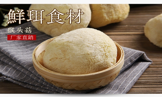 厂家直销养胃现摘鲜活猴头菇热卖